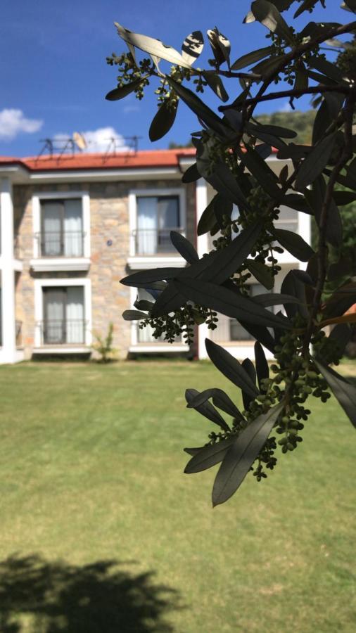 Oliva Casa Apart Hotel Datça Ngoại thất bức ảnh